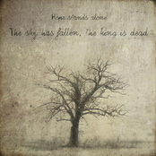 The Sky Has Fallen, The King Is Dead