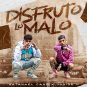 Disfruto Lo Malo