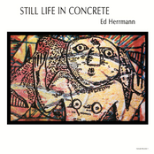 Still Life In Concrete