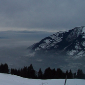 Alpine Acid