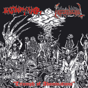Blasphemophagher/Necroholocaust split 7''