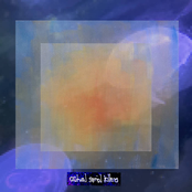 schizoporella unicornis