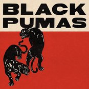 Black Pumas - Black Pumas (Deluxe Edition) Artwork