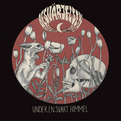 Under En Svart Himmel