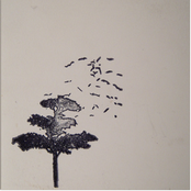 Death To Tyrants CDEP