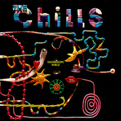 Hidden Bay by The Chills