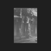 Murky vibration of the city