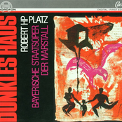 Robert HP Platz: Dunkles Haus