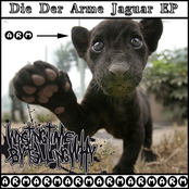 Die Der Arme Jaguar EP