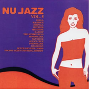 Nu Jazz Vol.5