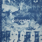 Radio Free Alice: Polyester