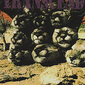 Product Of Our Greed