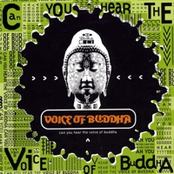 voice of buddha