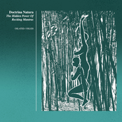 The Hidden Power Of Reciting Mantras