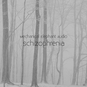 Schizophrenia
