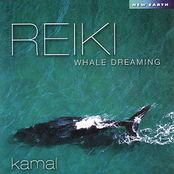 The Whale Who Dreamt The Sea by Kamal