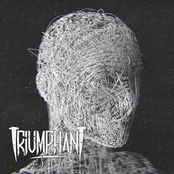 Triumphant: Сети