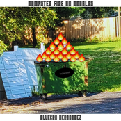 Dumpster Fire on Douglas