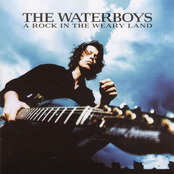 Is She Conscious? by The Waterboys