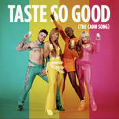 Vincint: Taste So Good (The Cann Song)