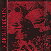 Necrophobia