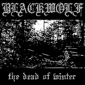 The Dead of Winter