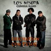 Chicharron Con Pelos