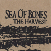 Sea of Bones: The Harvest