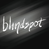 Blindspot: Blindspot