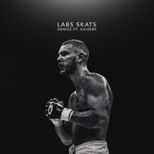 Labs skats