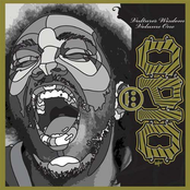 Vultures Wisdom Volume One