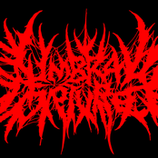 Torment Hymns