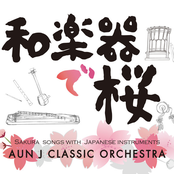 和楽器で桜