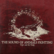 The Sound Of Animals Fighting: Tiger & the Duke