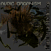 Finding A Balance EP