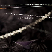 Argentavis