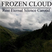 Rest Eternal Silence Carotid