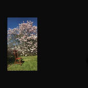 Blackout in the Dawn