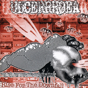 Rise For The Downfall