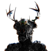 The Spirit Still Remains (Purgatory)