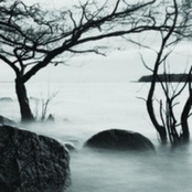 Miekka ja kirsikankukka