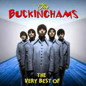 I Call Your Name by The Buckinghams