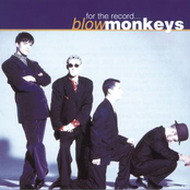 Squaresville by The Blow Monkeys