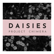 Daisies - Single