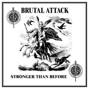 White Pride White Passion by Brutal Attack