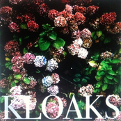 kloaks