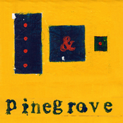 Pinegrove: Everything So Far