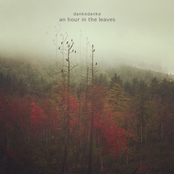 An Hour In The Leaves