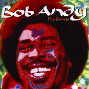 Lay Lady Lay by Bob Andy