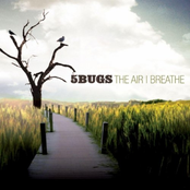 The Air I Breathe